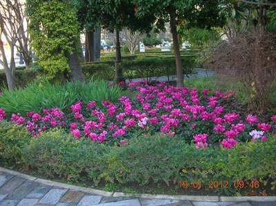 Servicio de Parques y Jardines Servicio de Parques y Jardines