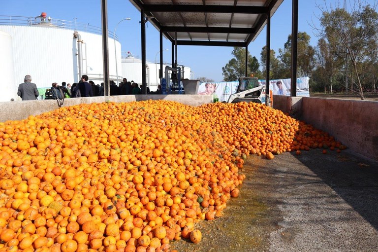 reutilización de naranjas.jpeg