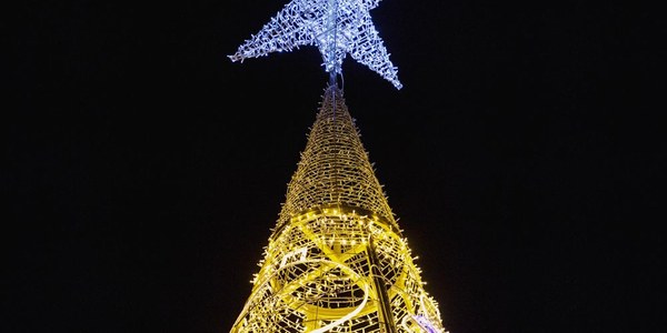 Árboles de Navidad iluminados