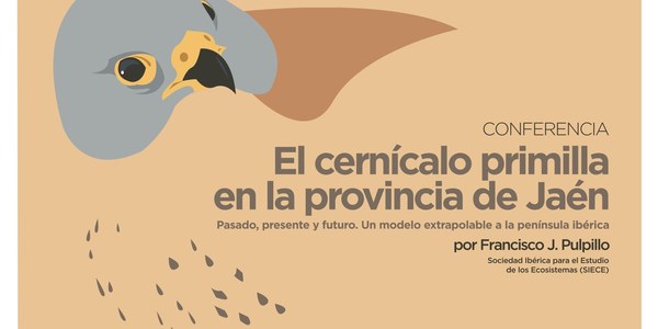 Conferencia "El cernícalo primilla en la provincia de Jaén. Pasado, presente y futuro"