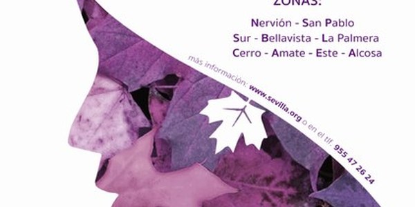 Otoño Feminista. Jornadas Tejiendo Redes
