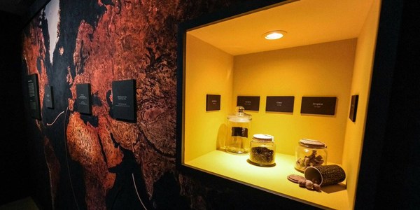 Visitas teatralizadas: El gran viaje de la Nao Victoria