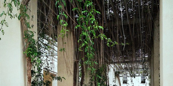 XVIII Semana de la Arquitectura 2019 | ARQUITECTURA E IDENTIDAD
