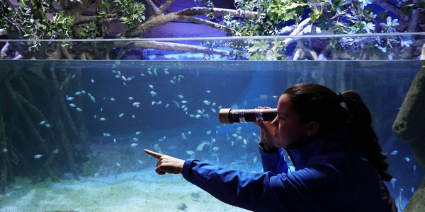 Día de Andalucía en el Acuario de Sevilla