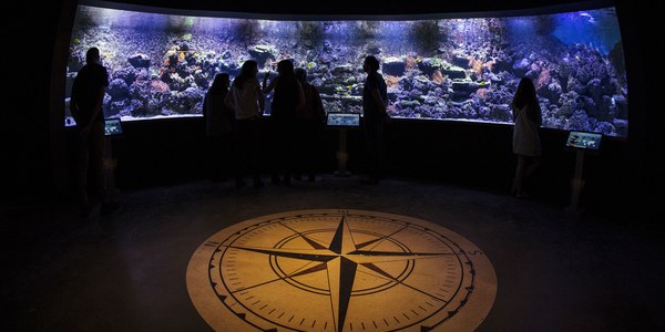 "El viaje de Magallanes y Elcano" en el Acuario de Sevilla