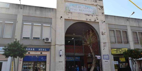 Entrega de Pino de Oro en Pino Montano