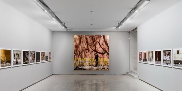 Exposición ‘Paseantes’, de José Toro