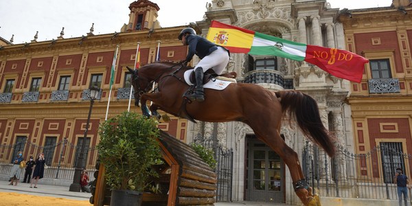 Gran Semana del Caballo Angloárabe
