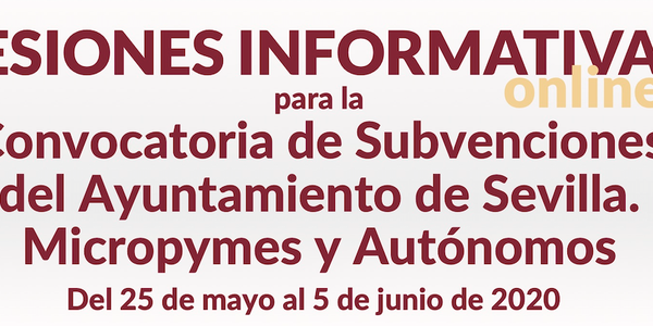 Sesiones informativas para la convocatoria de subvenciones a microempresas