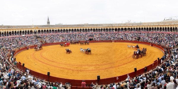 35 Exhibición de Enganches