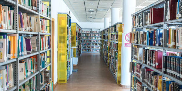 Acitividades en las bibliotecas municipales en verano