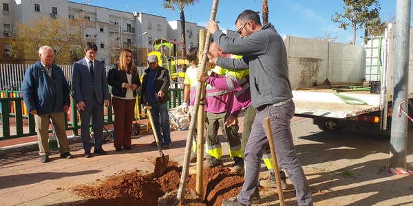 El Ayuntamiento impulsa la campaña de plantación 2019-2020 con la previsión de alcanzar los 5.073 árboles en viarios, jardines y parques de la ciudad