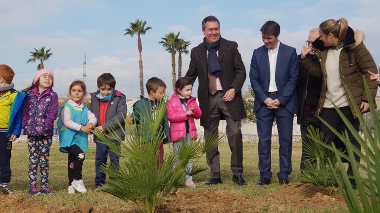 plantaciones arbolado-min.jpg