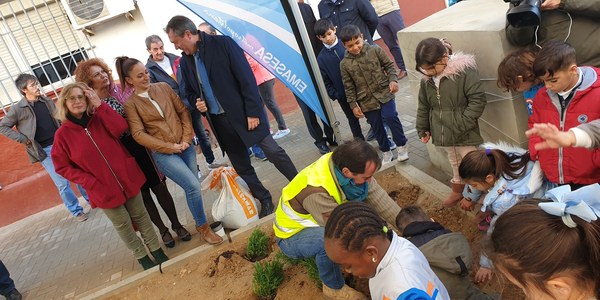 Culmina la renovación de las calles Muñoz San Román y Maestro Tejera por un millón de euros con la plantación de 31 árboles y arbustos con la participación del alumnado del CEIP Menéndez Pidal