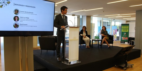 El Ayuntamiento avanza en una estrategia integral para desarrollar la declaración de emergencia climática de Sevilla y cumplir los ODS con la implicación de distintas áreas y empresas municipales