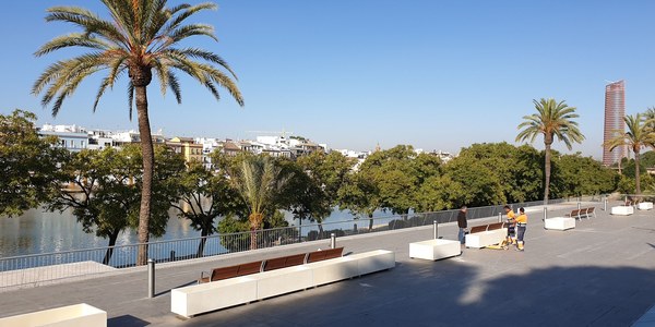 El Ayuntamiento comienza la instalación de las 60 nuevas jardineras con plantaciones que tendrá el remodelado Paseo Marqués de Contadero