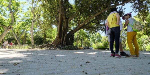 El Ayuntamiento culmina las obras de adecuación y mejora de los caminos del Parque de María Luisa y completa la instalación de un nuevo adoquinado en la Avenida de Bécquer