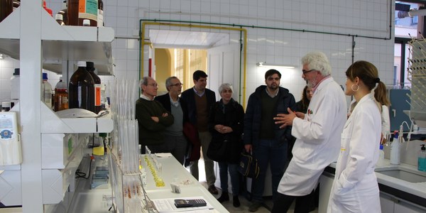 El Ayuntamiento de Sevilla lanza un programa de análisis gratuito sobre la calidad nutricional de comidas caseras para contribuir a una alimentación más saludable y prevenir el sobrepeso y la obesidad