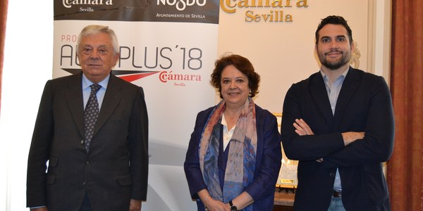 El Ayuntamiento de Sevilla y la Cámara de Comercio promueven la creación de empresas en el sector aeroespacial con el proyecto Aeroplus para emprendedores