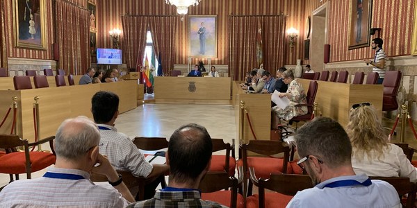 El Ayuntamiento destaca los avances de Sevilla en movilidad sostenible con más carriles bici, itinerarios peatonales y transporte público