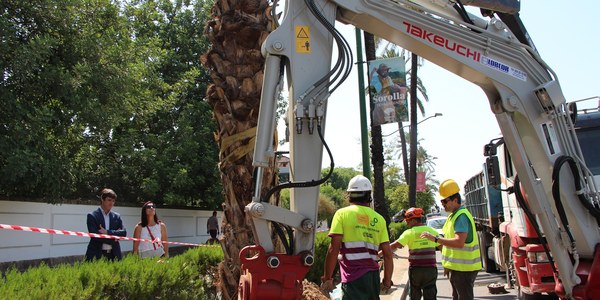 El Ayuntamiento ha plantado en las últimas cuatro campañas casi 10.300 árboles en calles, parques, jardines y colegios públicos