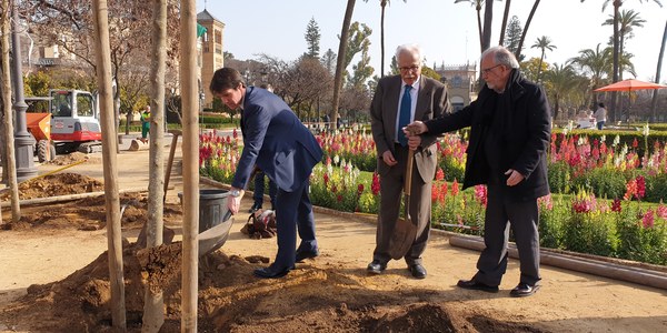 El Ayuntamiento ha plantado ya 4.300 árboles y 6.300 arbustos y superará las previsiones iniciales de la campaña 18-19