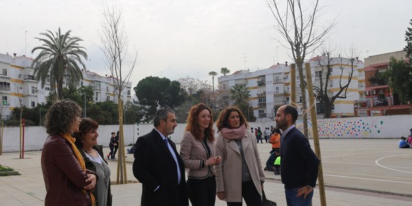El Ayuntamiento invierte en torno a 120.000 euros en los colegios Santa Catalina y Manuel Siurot de la Macarena para la eliminación de barreras arquitectónicas, mejoras en espacios interiores y colocación de toldos y elementos de sombra