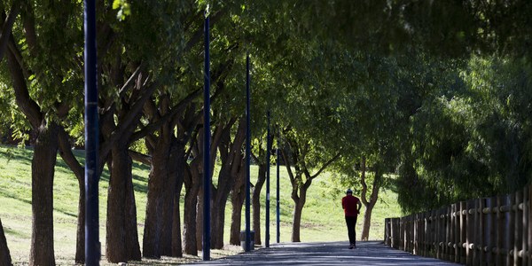 El Ayuntamiento licita por 136.000 euros la obra de ampliación de los Viveros de Miraflores para asumir los de Los Remedios y abordar con más capacidad las reforzadas campañas de plantación de árboles