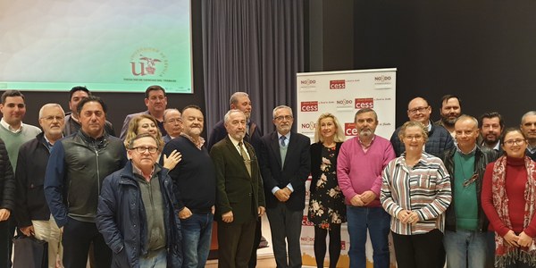 El Ayuntamiento presenta al Consejo Económico y Social de Sevilla la estrategia integral de actuación en las zonas desfavorecidas