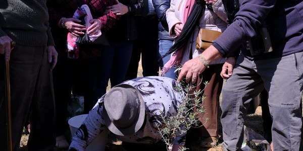 El Ayuntamiento y EMASESA celebran con escolares y entidades el día Mundial del Agua con la plantación de 150 árboles en el Río Guadaíra, junto al EDAR de El Copero