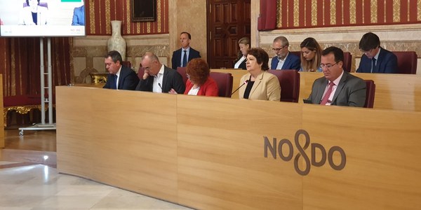 El Pleno aprueba por unanimidad  el acuerdo entre Ayuntamiento y  la sociedad estatal Mercasa que garantiza la continuidad indefinida de Mercasevilla como empresa íntegramente pública