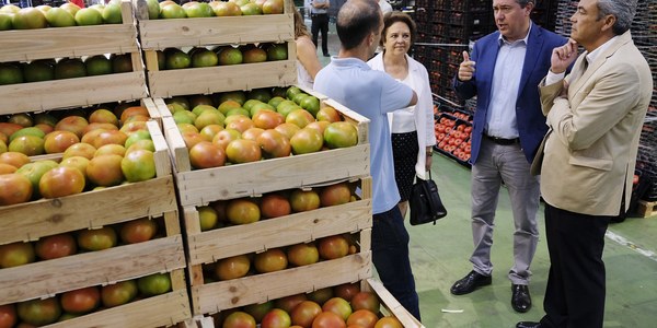 El Pleno aprueba por unanimidad  implantar en Mercasevilla un modelo de gestión directa para una empresa que ya es 100% pública, con vida indefinida y garantías de viabilidad