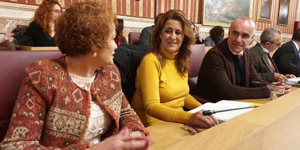 El Pleno del Ayuntamiento aprueba el proyecto de Presupuesto municipal de 2020 que prioriza el aumento de las inversiones, el gasto social y la mejora de los servicios públicos