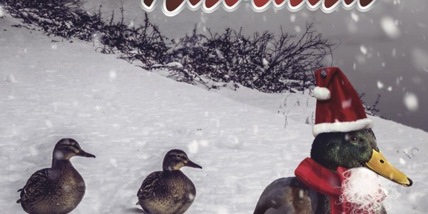Plazas de Navidad, Belenistas, Reyes Magos y Sevillalandia componen la oferta cultura del Distrito Este-Alcosa-Torreblanca durante la navidad
