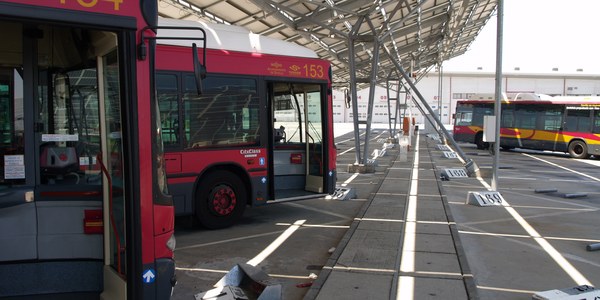Tussam transporta 44,28 millones de viajeros en el primer semestre, la cifra más alta de los últimos 10 años