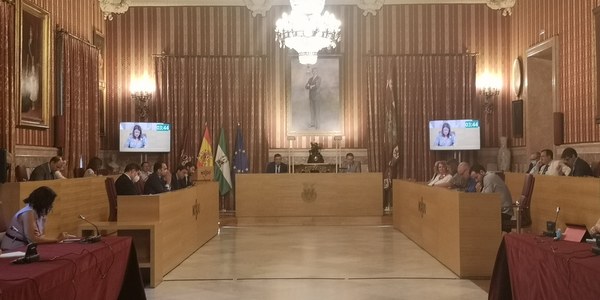 El Ayuntamiento aprueba 8,7 millones de euros para gastos sociales, sanitarios y de servicios públicos vinculados con la COVID 19 a través del uso del superávit y modificaciones presupuestarias