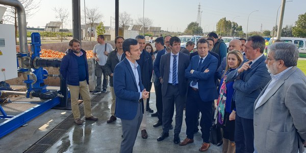 El Ayuntamiento impulsa un proyecto piloto para la reutilización de las naranjas amargas de las calles y parques para la generación de electricidad y compost