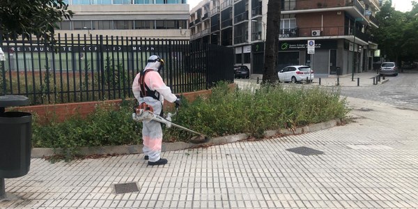El Ayuntamiento amplía y refuerza el plan de desbroces que arrancó el pasado mes de marzo y que contará en junio con casi 130 operarios a través de Parques y Jardines y Lipasam