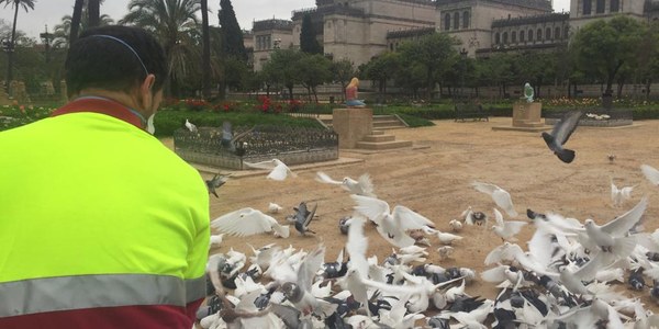 El Ayuntamiento aprueba contratos por un millón de euros para dotar de nuevos vehículos y herramientas al servicio municipal de Parques y Jardines