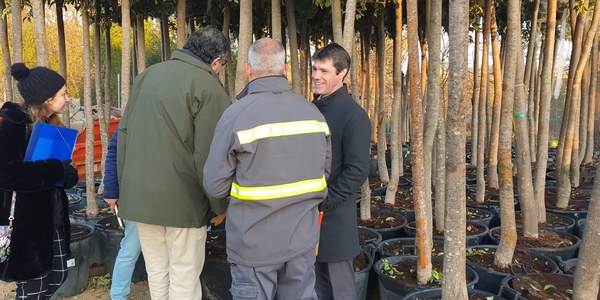 El Ayuntamiento avanza en la campaña de plantación 2019-2020 y supera ya los 600 árboles nuevos en distintos barrios
