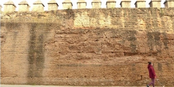 El Ayuntamiento de Sevilla aprueba la licitación del proyecto de restauración y consolidación de la Muralla de la Macarena con 920.000 euros de inversión y publicará los pliegos en cuanto lo permita el decreto de estado de alarma