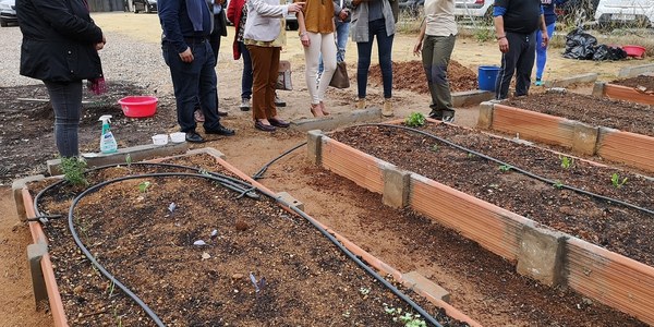 El Ayuntamiento impulsa la quinta edición del Programa de Dinamización de Huertos Urbanos, que llega al centro cívico Hogar San Fernando con la participación de colectivos en riesgo de exclusión social y entidades