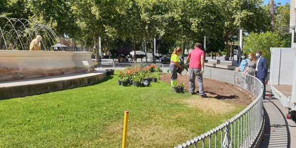 El Ayuntamiento instala nuevas vallas de protección de parterres y papeleras en Puerta de Jerez, Patio de Banderas, Jardines de Cristina y Murillo o entorno de Plaza de España