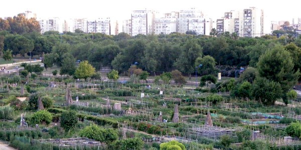 El Ayuntamiento reactiva de manera telemática los talleres socioculturales a través de una plataforma online y aplicaciones de mensajería