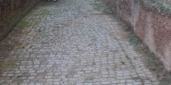 El Ayuntamiento realiza una actuación especial de limpieza en el adarve de la Muralla de la Macarena con la retirada de residuos y un tratamiento preventivo para evitar la proliferación de hierbas