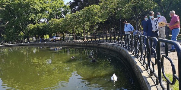 El Ayuntamiento y científicos de la Universidad de Sevilla concluyen la limpieza de la vegetación invasiva del estanque de Parque de Los Príncipes y realizarán un seguimiento para evitar que se reproduzca