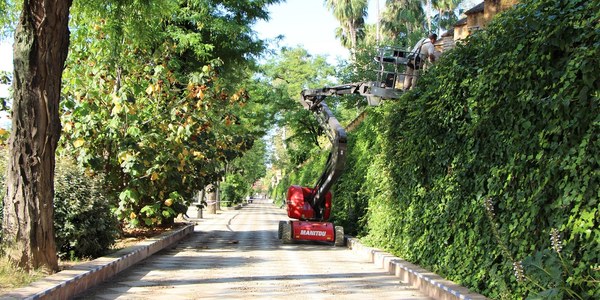 El Real Alcázar acomete la primera fase de los trabajos de conservación y restauración de la tapia almenada de los Jardines de Murillo