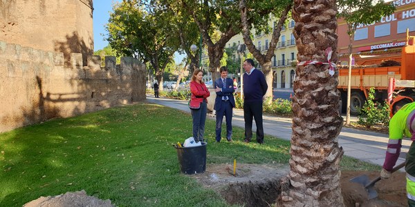 El Ayuntamiento incrementa el contrato destinado a la adquisición de arbolado para la campaña de plantaciones 2020-2021 y lo adjudica por 140.000 euros