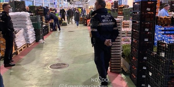 Mercasevilla continúa garantizando el suministro a mercados de abastos y tiendas minoristas de la ciudad tras registrar hoy un aumento superior al 20 % en las entradas de frutas y hortalizas y más del doble en carnes