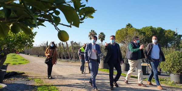 El Ayuntamiento inicia una nueva campaña de plantación con el objetivo de repetir la cifra de 5.000 nuevos árboles de los cuales al menos 1.700 se destinarán a alcorques vacíos del viario público